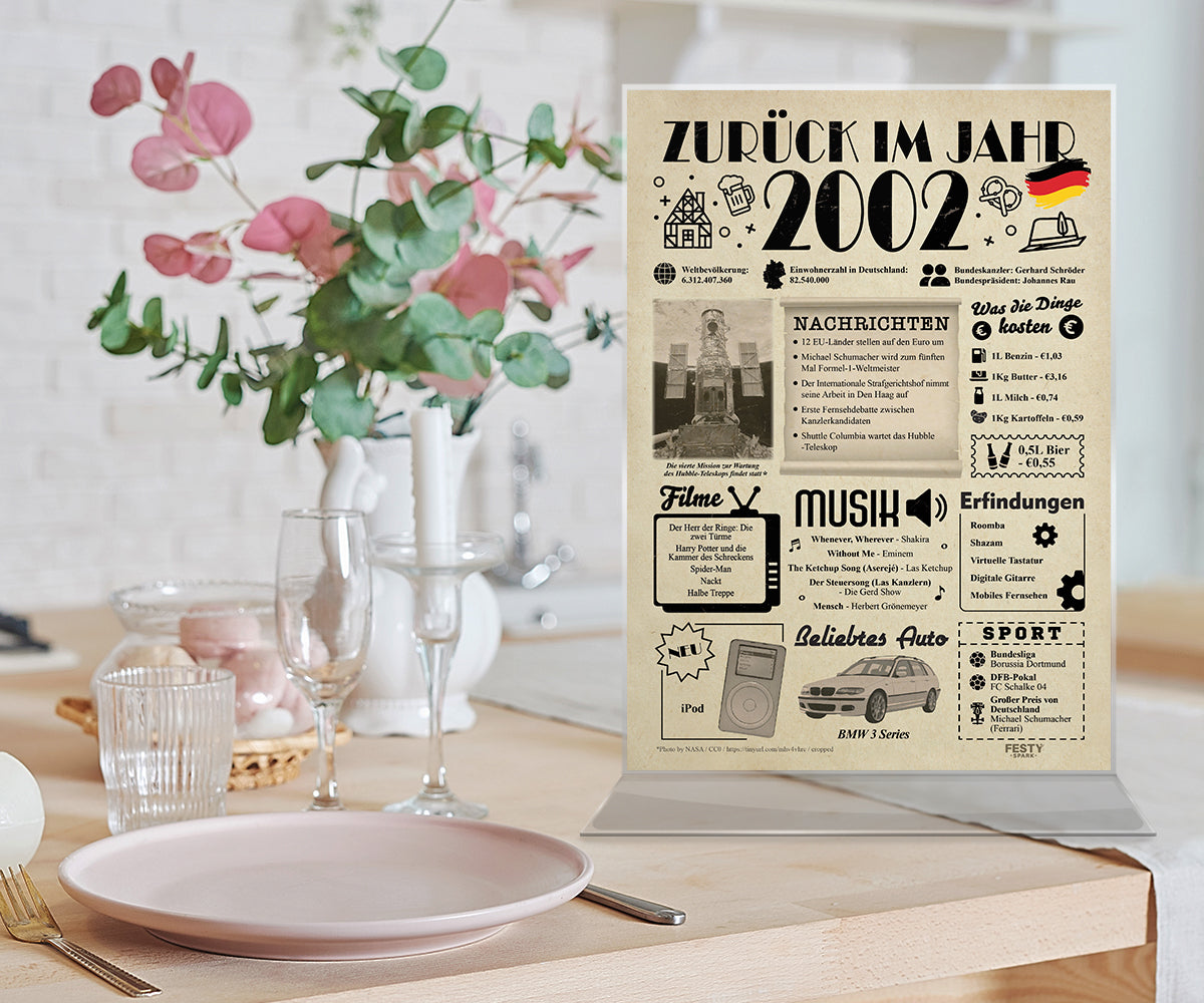 FestySpark™ - Zurück im Jahr 2002 – Geburtstagsplakat